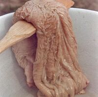 Gücü uyarmak için deve midesi